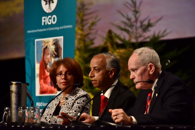 FIGO and partners launch key actions on SDG