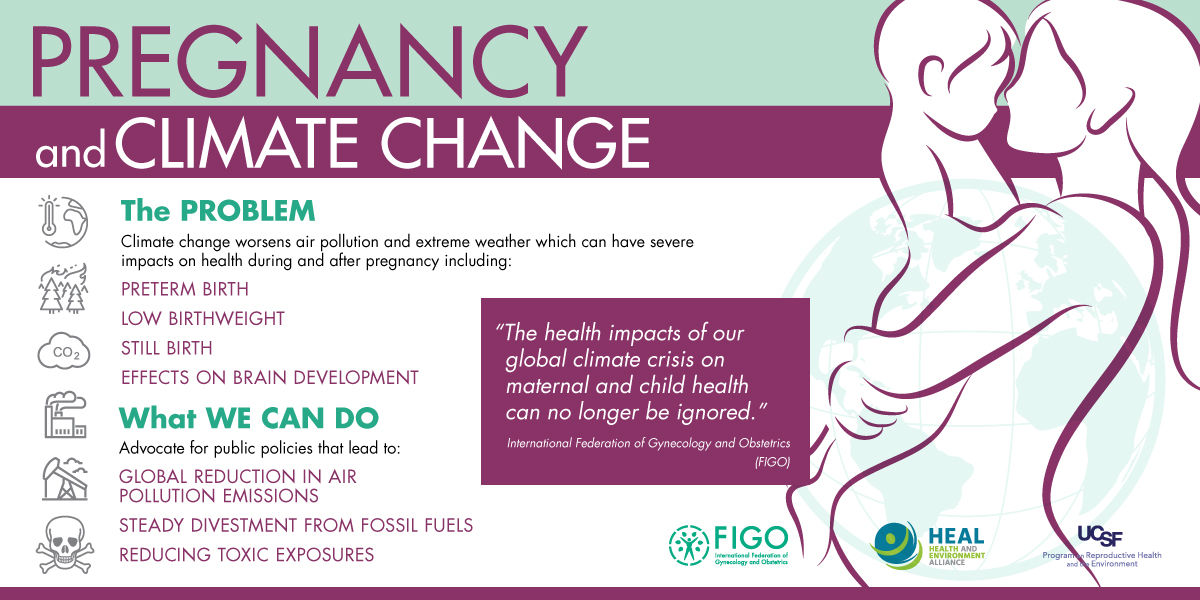 Pregnancy and climate change – problem and solutions