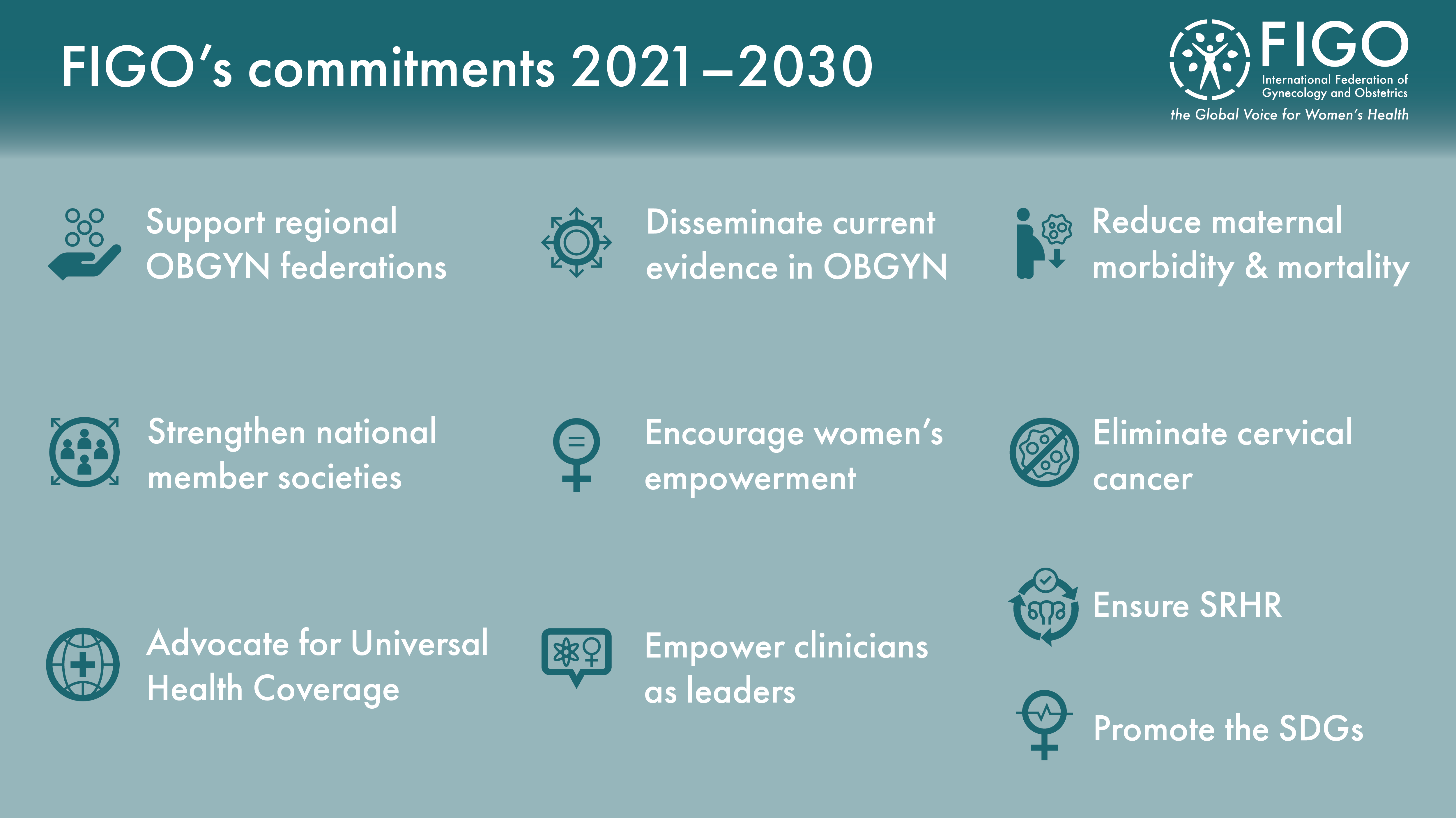 FIGO Commitments graphic