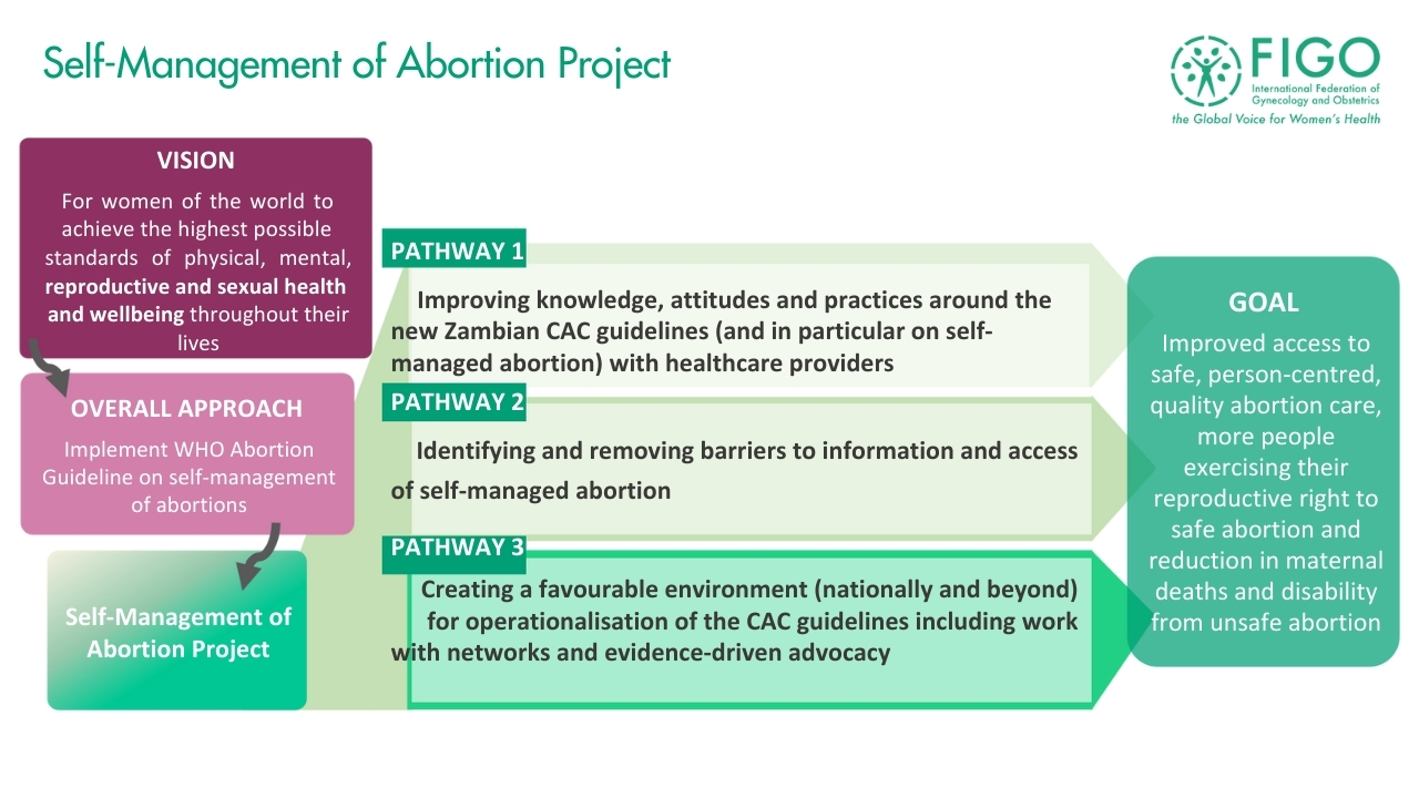 SMA Project Pathways graphic