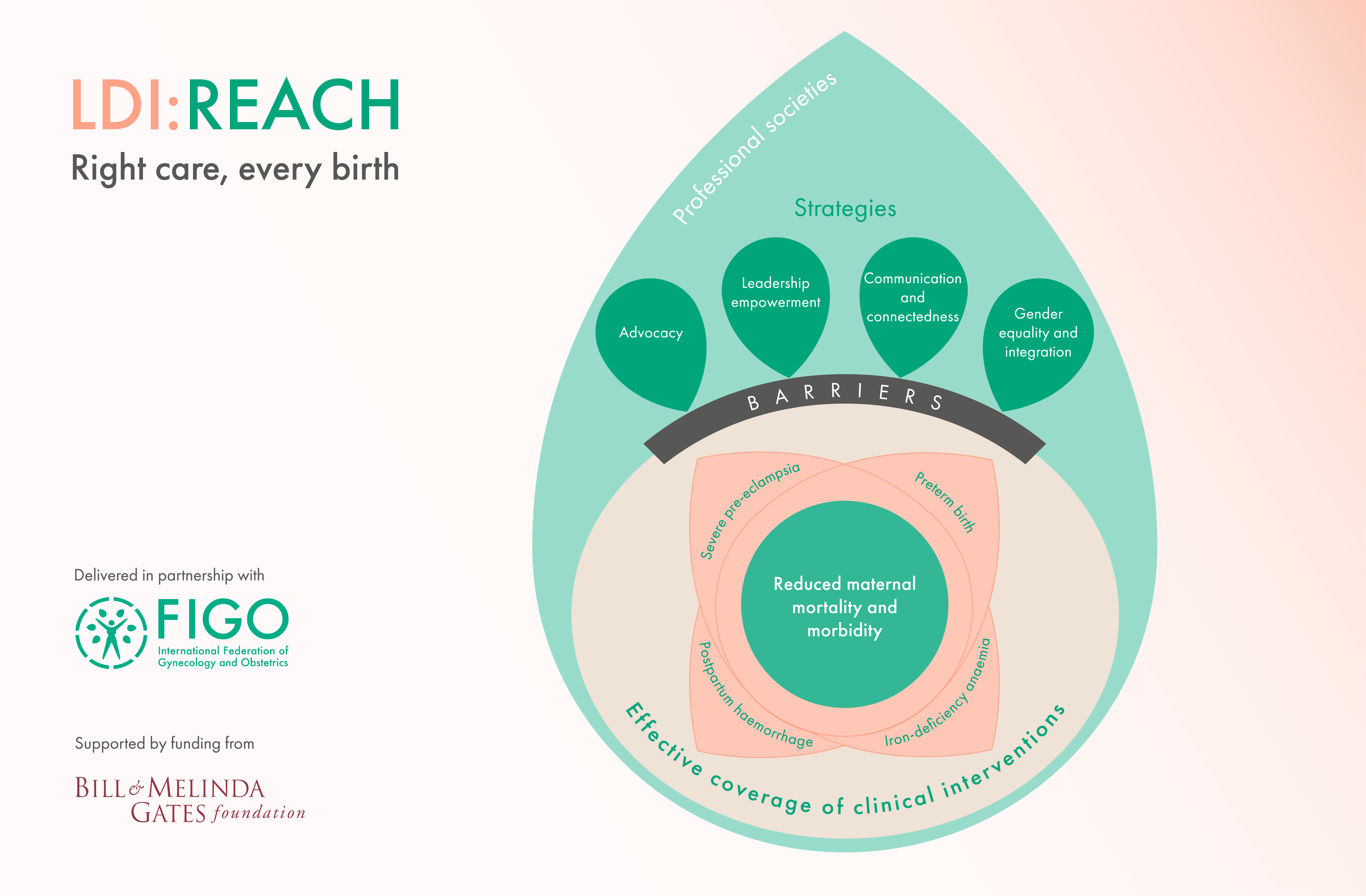 LDI-REACH-visual