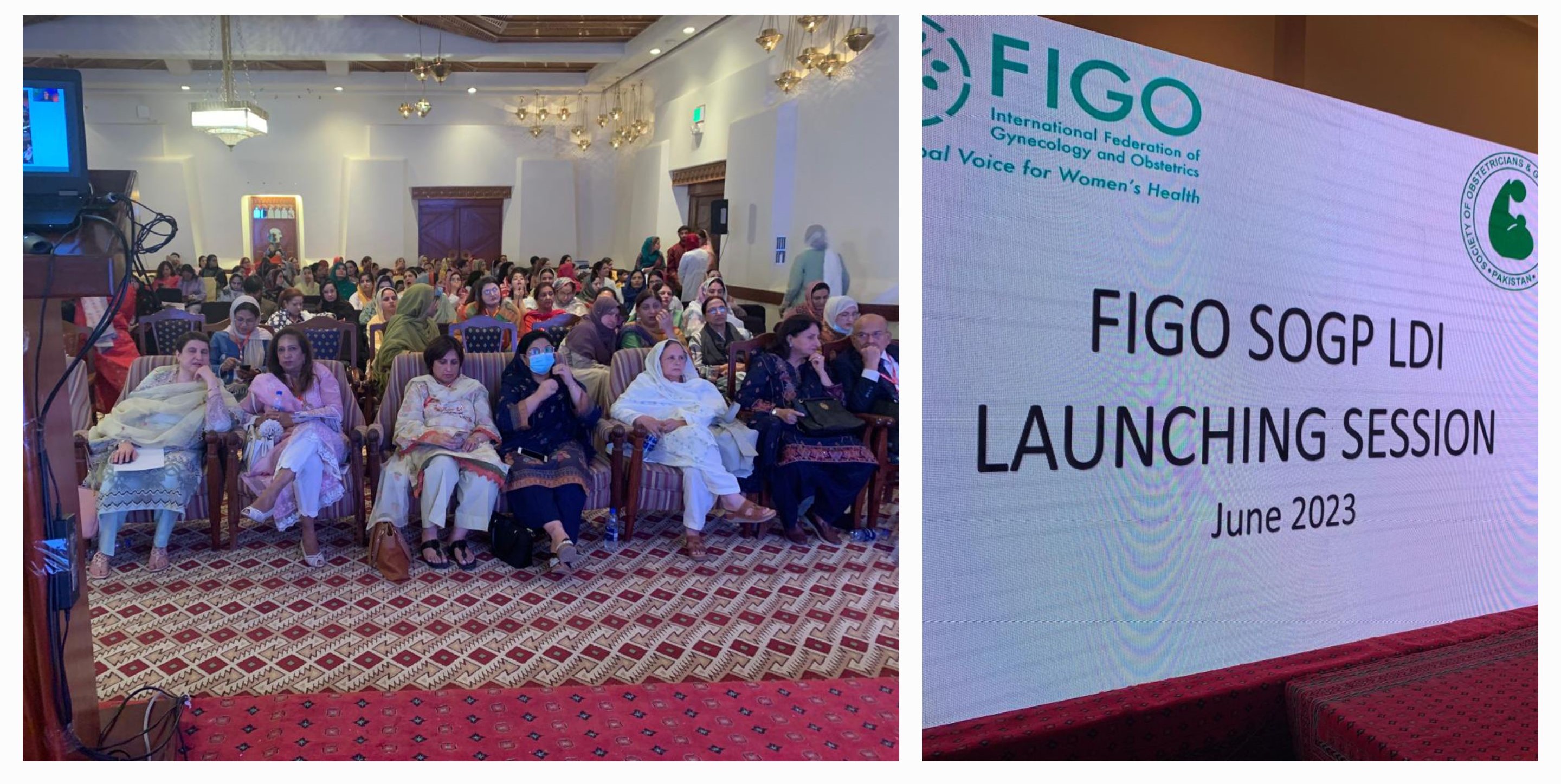 Plenary session on ‘Leadership Development Initiative’ at the SOGP National Scientific Conference 2023.