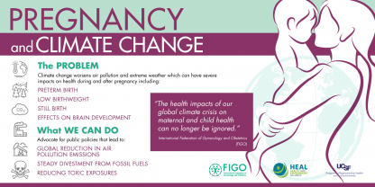 Pregnancy and Climate Change FIGO