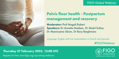 webinar pelvic floor