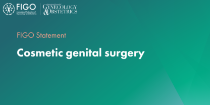 cosmetic genital surgery