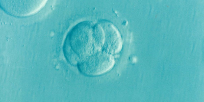 Fertility preservation