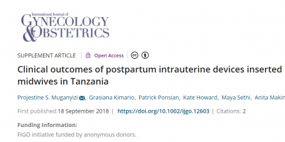 journal article name