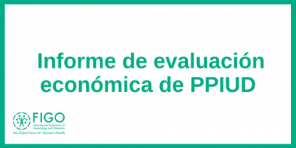  Informe de evaluación económica de PPIUD