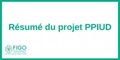 Project Brief French