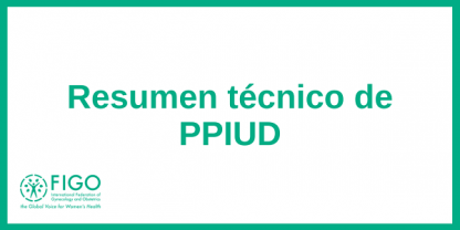 Resumen técnico de PPIUD