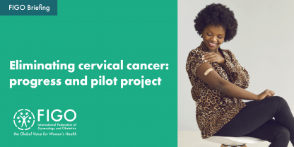 cervical cancer briefing visual