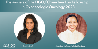 Picture of the winners of the FIGO/Chien-Tien Hsu Fellowship