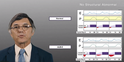 Screenshot of video