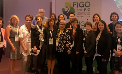 FIGO RDEH committee 