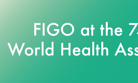 FIGO at WHA74 visual