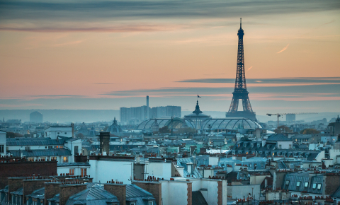 Paris rooftops landscape
