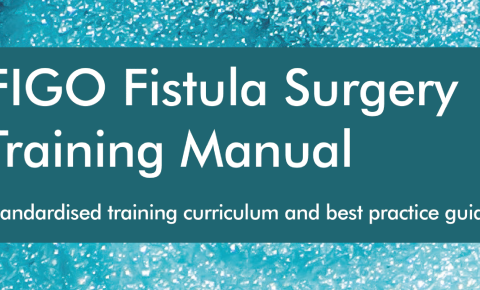 training resource fistula hero