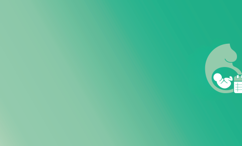 reproductive age committee banner