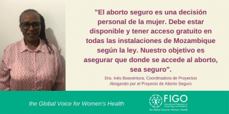  Dra. Inés Boaventura, Coordinadora de Proyectos Abogando por el Proyecto de Aborto Seguro