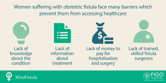 visual of barriers that prevent women from accessing treatment