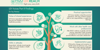 LDI-REACH-visual