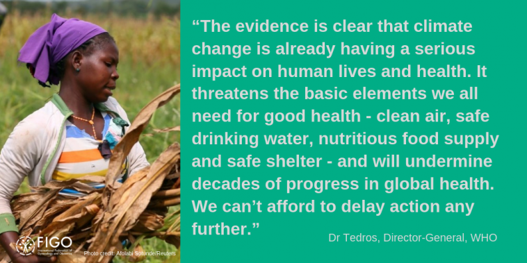 Tedros quote - climate and health.png Tedros quote - climate and health.png