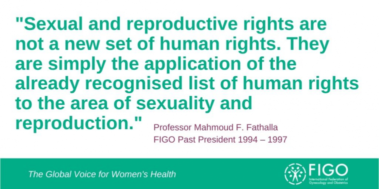 Professor Mahmoud F. Fathalla quote