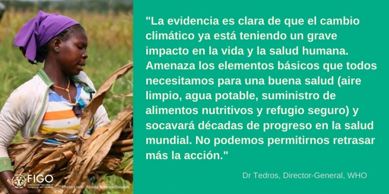 Dr Tedros citar