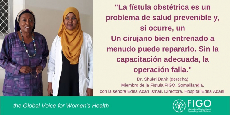 fistula obstetrica