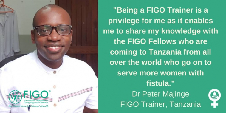 FIGO Fistula Trainer