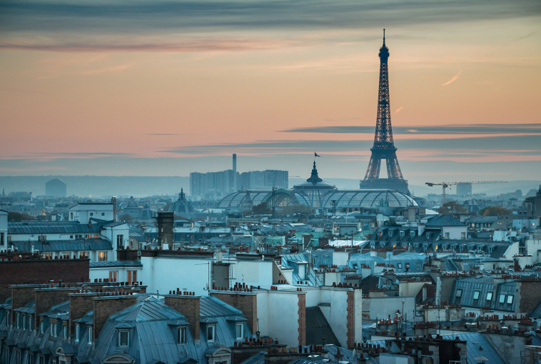 Paris rooftops landscape