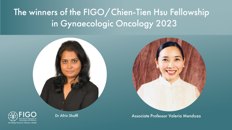 Picture of the winners of the FIGO/Chien-Tien Hsu Fellowship