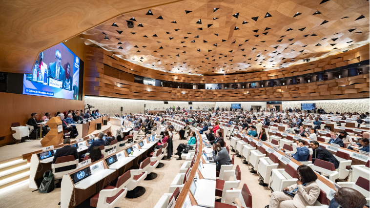 WHA77 spotlight
