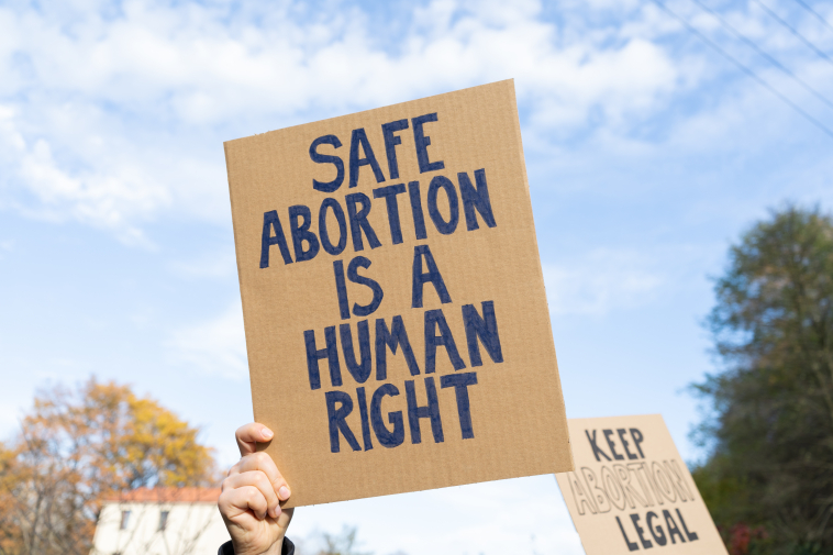 Safe Abortion image