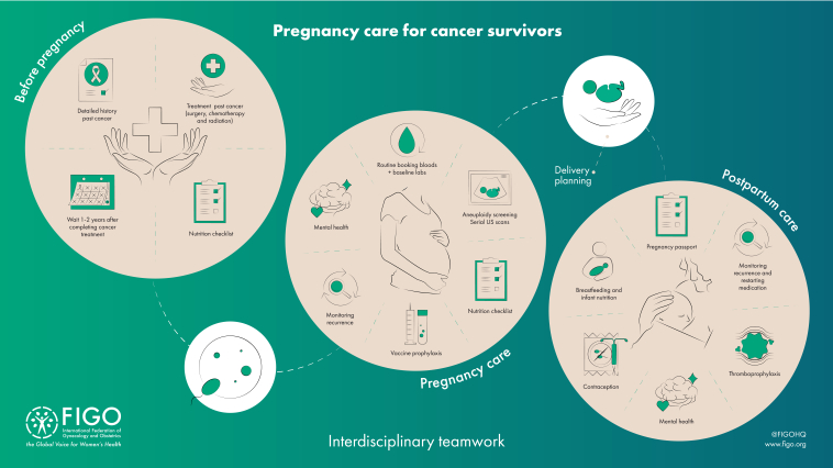pregnancy after cancer infographic